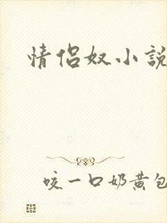 情侣奴小说