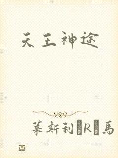 天王神途