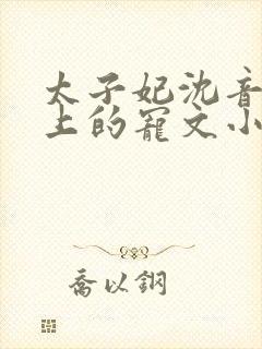 太子妃沈音和皇上的宠文小说