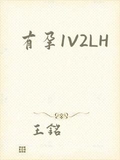 有孕1V2LH