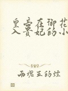 皇帝在御花园进入贵妃的小说