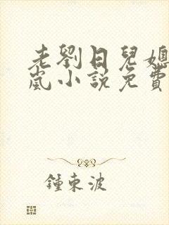 老刘日儿媳妇张岚小说免费阅读