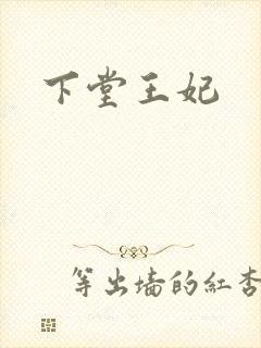 下堂王妃