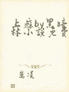 上瘾by黑暗森林小说免费