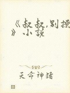 《叔叔,别撩我》小说