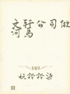 文轩公司做扩张河马