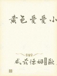 黄色爱爱小说