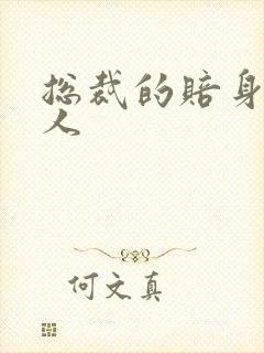 总裁的赔身小情人