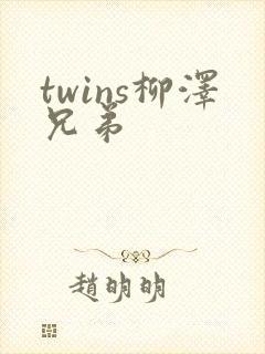 twins柳泽兄弟