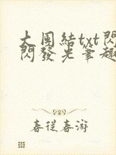 大团结txt闪闪发光笔趣阁