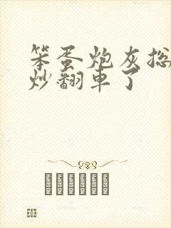 笨蛋炮灰总被爆炒翻车了