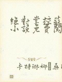 绝对掌控苏绵绵小说免费阅读全文