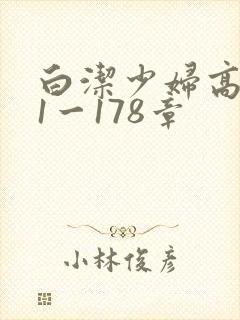 白洁少妇高义第1一178章