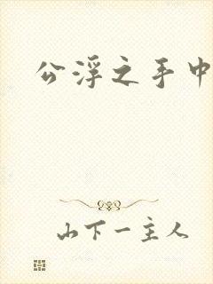 公浮之手中字5