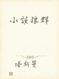 小说狼群