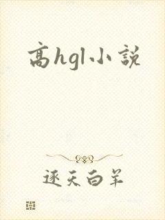 高hgl小说