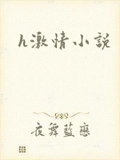 h激情小说