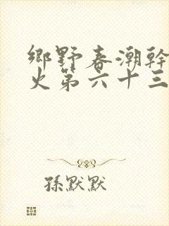乡野春潮干柴烈火第六十三章