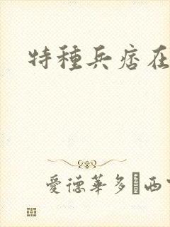 特种兵痞在都市