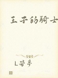 王子的骑士小说