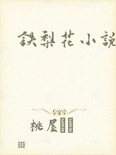 铁梨花小说