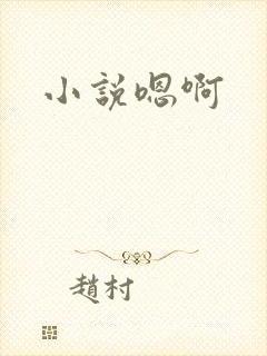 小说嗯啊