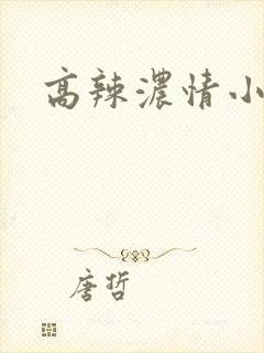 高辣浓情小说