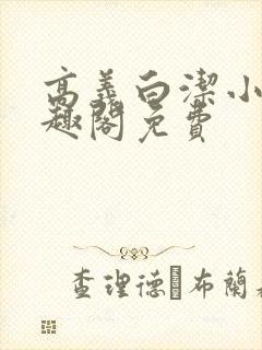 高义白洁小说笔趣阁免费