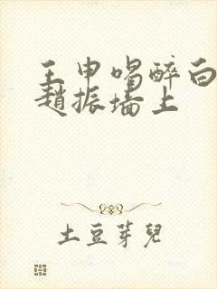 王申喝醉白洁被赵振墙上