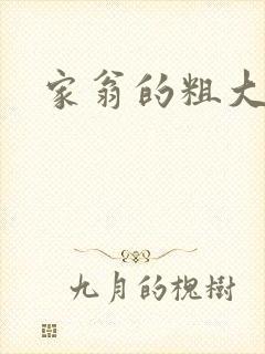 家翁的粗大