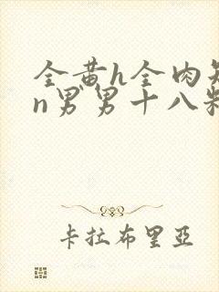 全黄h全肉短篇n男男十八籽