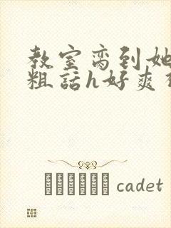 教室脔到她哭h粗话h好爽视频