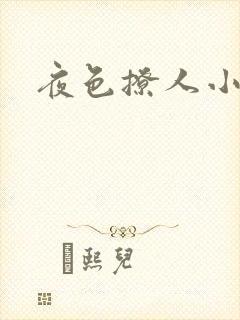 夜色撩人小说
