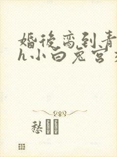 婚后脔到青梅哭h小白兔宫交h