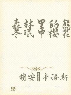 森林里的熊先生冬眠中樱花动漫