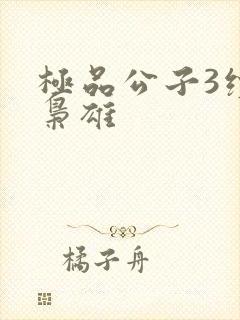 极品公子3续世枭雄