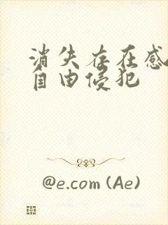 消失存在感消失自由侵犯