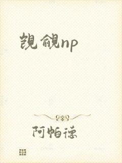 觊觎np