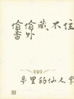 偷偷藏不住新婚番外