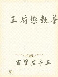 王府惩教养日常