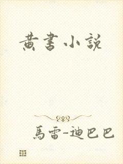 黄书小说