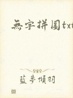 无字拼图txt