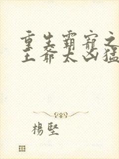 重生霸宠之摄政王爷太凶猛