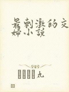 最刺激的交换夫妇小说