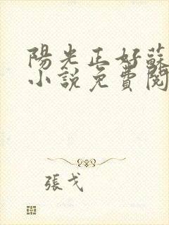 阳光正好苏玥玥小说免费阅读无弹窗