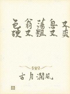 色翁荡息又大又硬又粗又爽