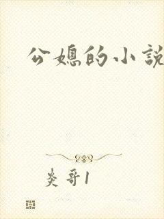 公媳的小说