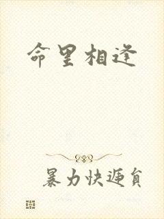 命里相逢