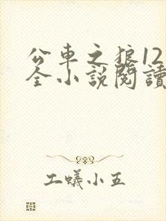 公车之狼12集全小说阅读