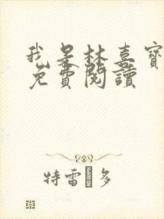 我是林喜宝小说免费阅读